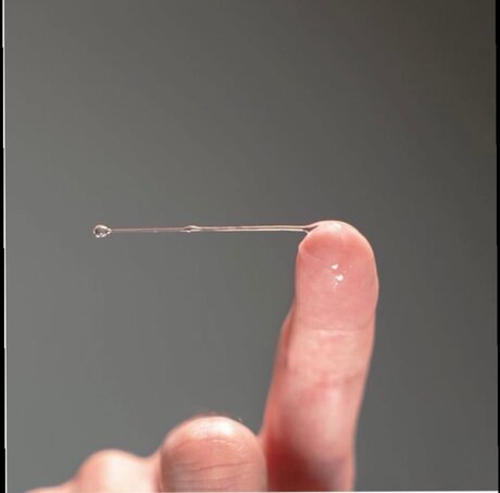 _tommymarlow onlyfans model