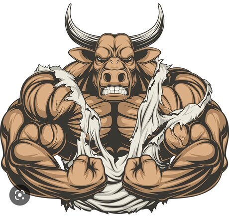 Beefybaltbear nude onlyfans porn