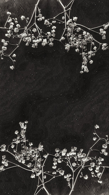 Cendre_ nude onlyfans