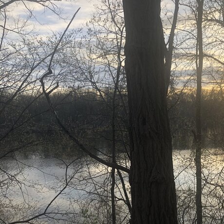 ChosenOne boobs onlyfans