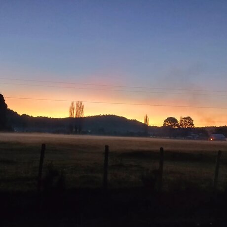 Tavita onlyfans leaked porn