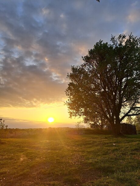 FunWFreckles onlyfans free content