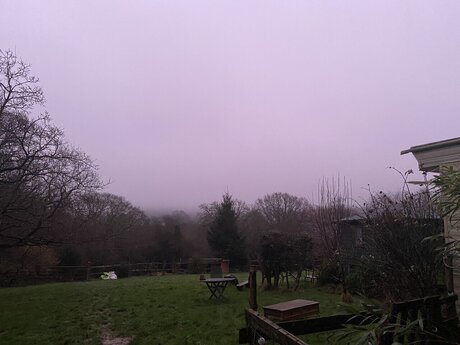 Crudedudefood onlyfans leaks nudes