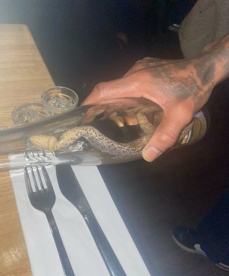 Linea Sindt onlyfans leaka