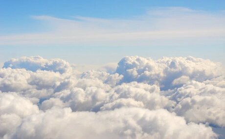 Stella Francis TS_ only fans leak