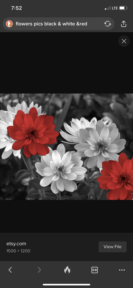 Reginalynn onlyfans boobs