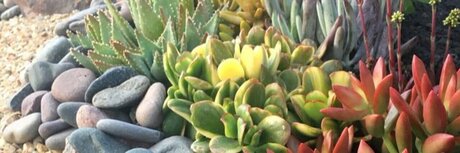 Nova Grace onlyfans naked leaks