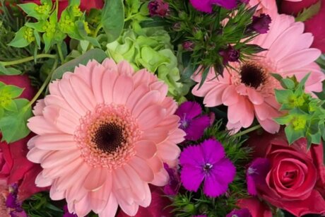 Kandyy_ onlyfans pics nude