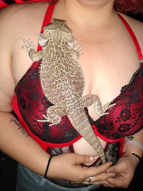 Bad bitches onlyfans free