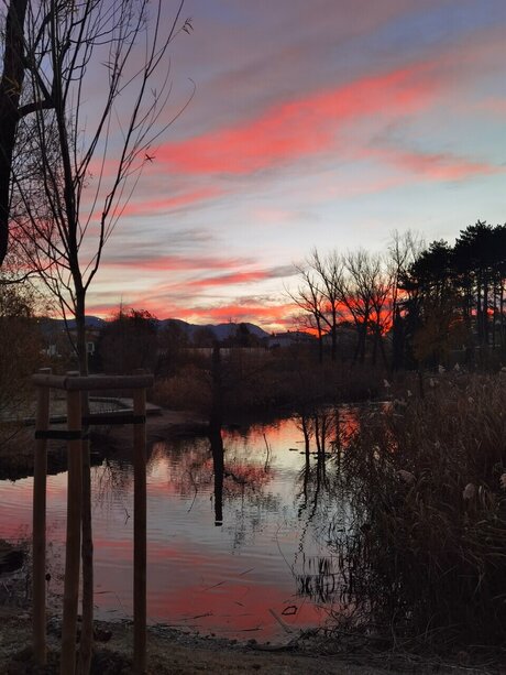 BlueGirl onlyfans porn nude