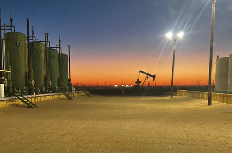 Silver Fox onlyfans model images