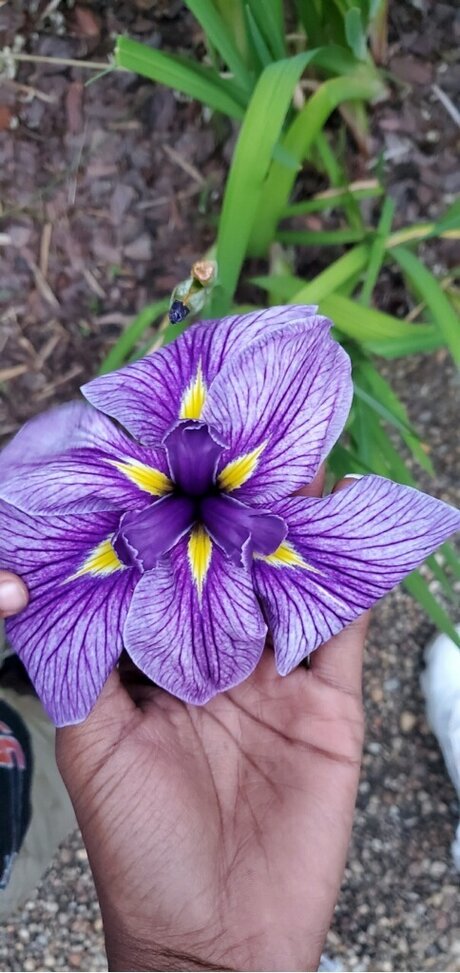 Nookie_ porn onlyfans