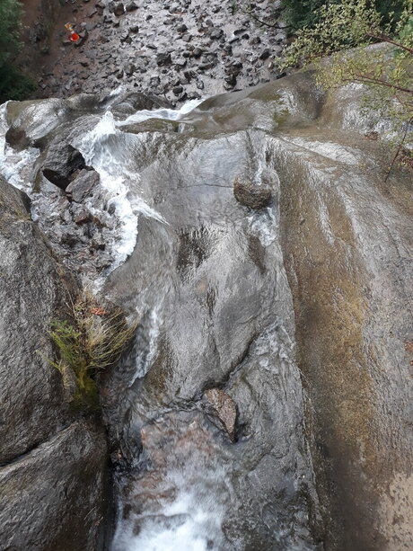 TrippieGypsy onlyfans nude