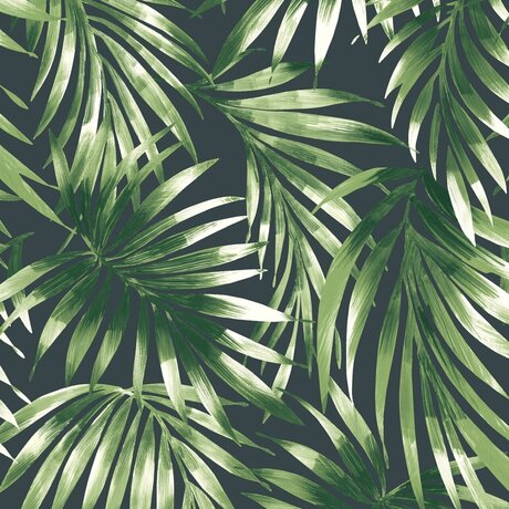 _FOOT GODDESS_ desnuda onlyfans