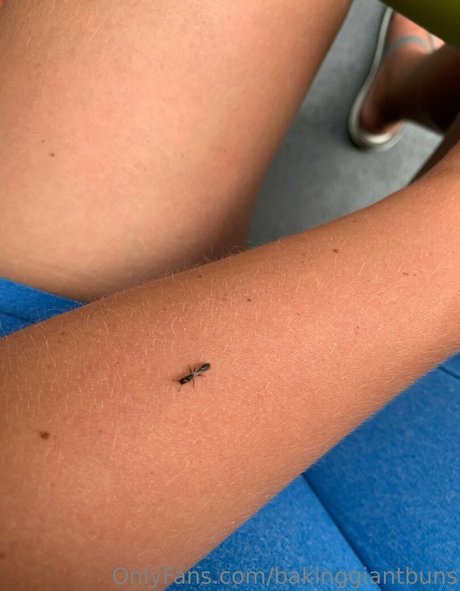 bakinggiantbuns onlyfans leaked photos