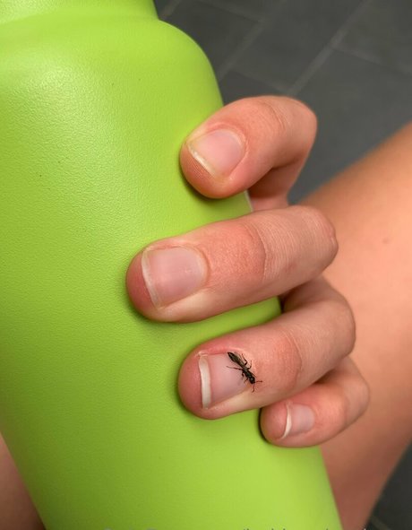 bakinggiantbuns leak onlyfans porn