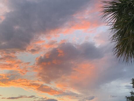 Sacred Dnari porn onlyfans