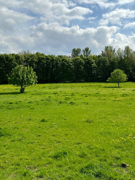 Naughty but Kinky_ onlyfans leaked dirtyship