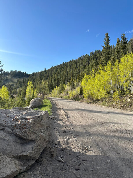 Xae nude only fans leaks