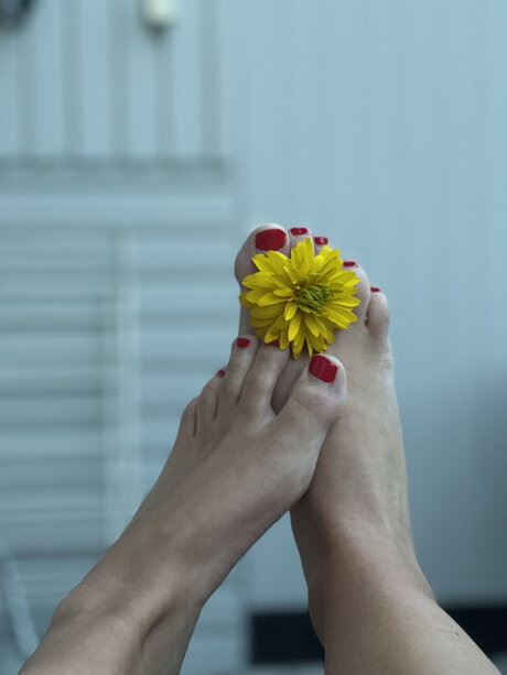 Foot fetish page porn onlyfans