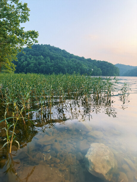 Huskycub58 naked onlyfans