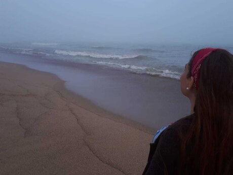 Denise Sepulveda  archive