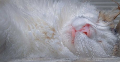 jukacrasoves nude onlyfans porn