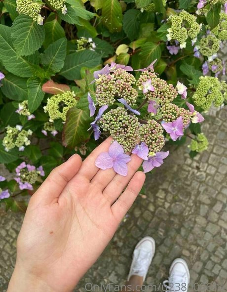 anastasiyan vip onlyfans xxx