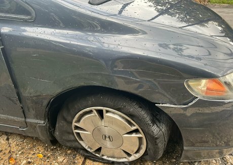 beach onlyfans pornographic candids