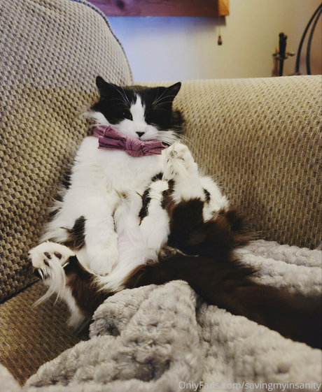 savingmyinsanity onlyfans images