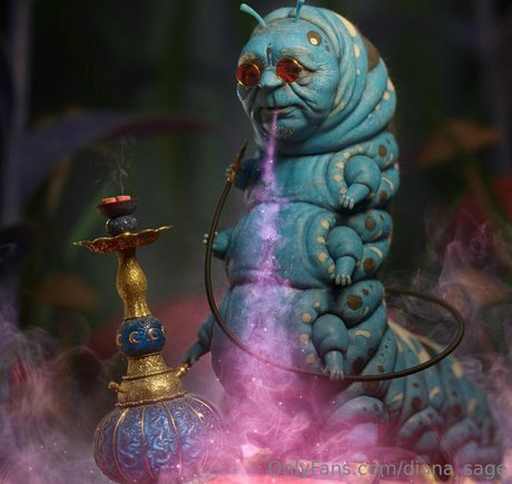 more than palnts nude leak onlyfans