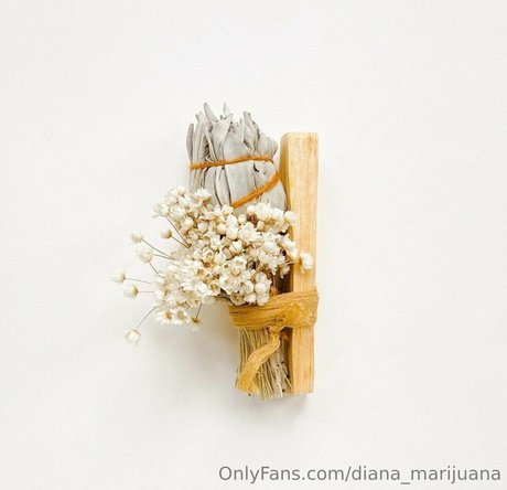 more than palnts onlyfans fuck