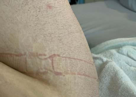 bibibirdiexx onlyfans leajs