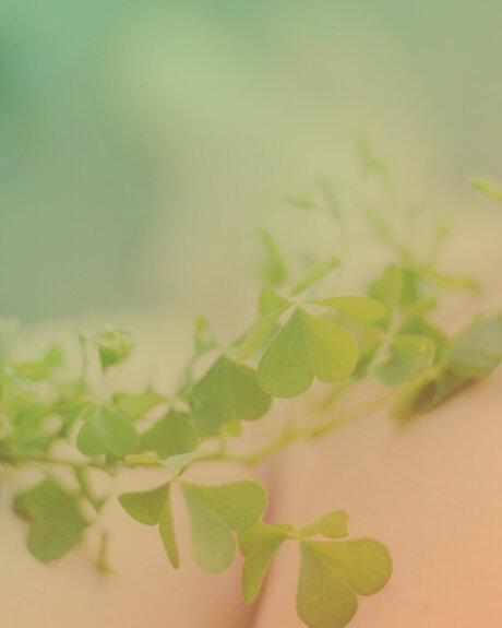 sexy feet onlyfans hot naked photo