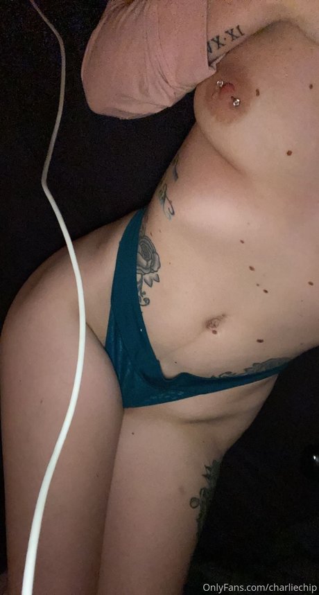 Charlie Chip  visual