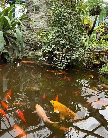 Ady Dark onlyfans pics leaked