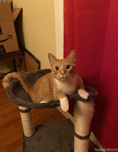 super skinny onlyfans erotic snap