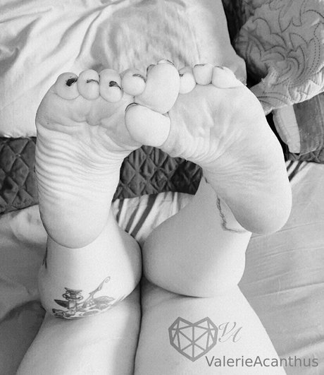 val acanthus leaks only fans