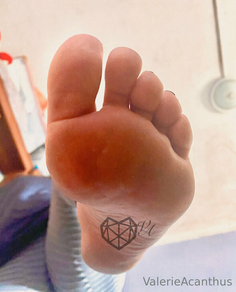 val acanthus only fans