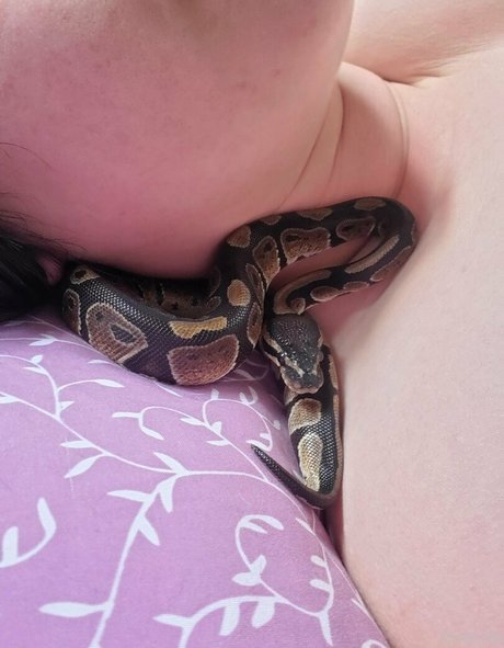 violet bb leaked onlyfans