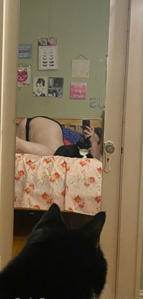 pinkbbw onlyfans ass