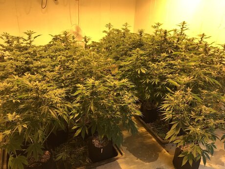 Scorpio81420 naked leaked onlyfans