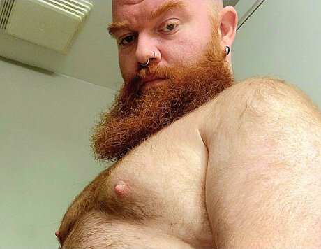 Yukon Wallace  image