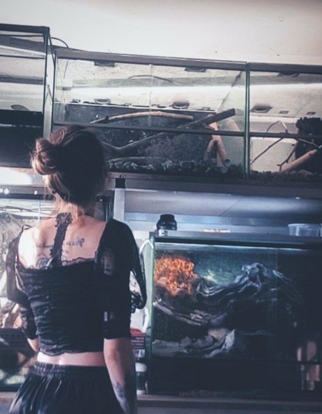 artnvenom only fans free