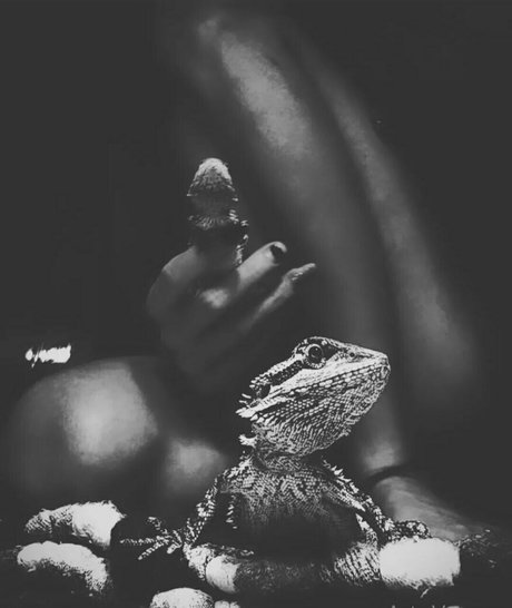 bbc hardcore onlyfans beautiful xxx slide