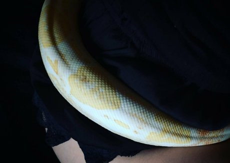 artnvenom onlyfans xx