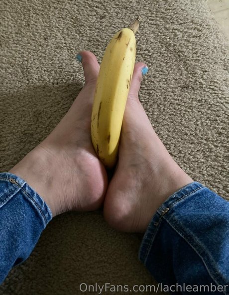 lachleamber onlyfans leaks porn