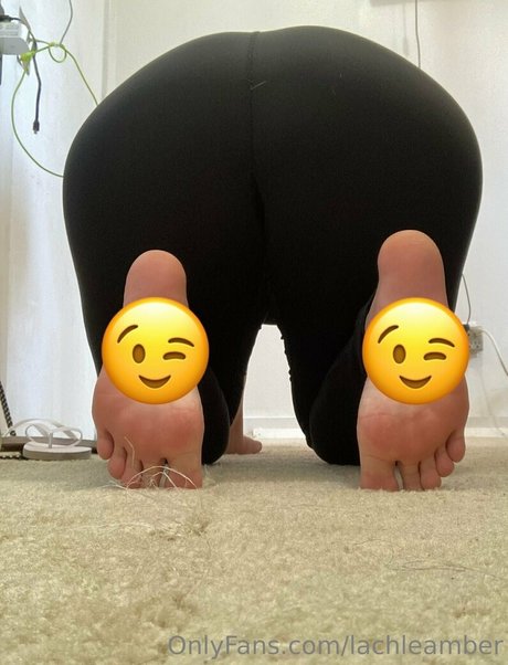 lachleamber onlyfans leak new