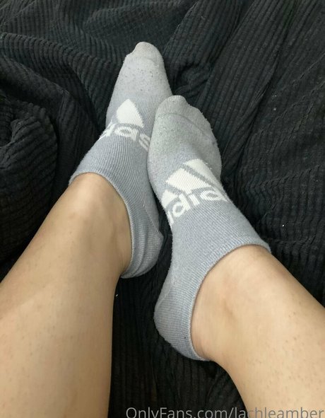 lachleamber leaked onlyfans nude