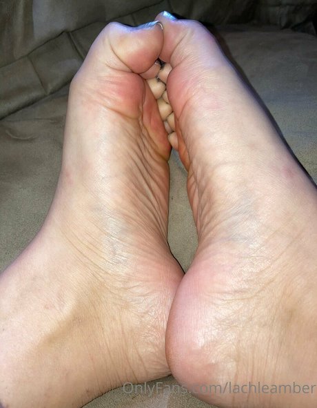 lachleamber only fans